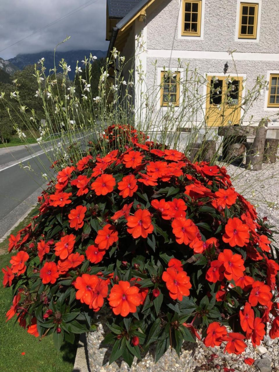 Boutique Rooms Pri Rogovilcu Solčava المظهر الخارجي الصورة